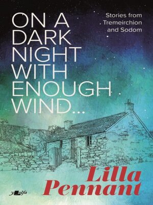cover image of On a Dark Night with Enough Wind